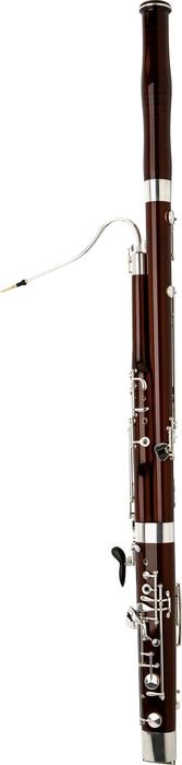 bassoon